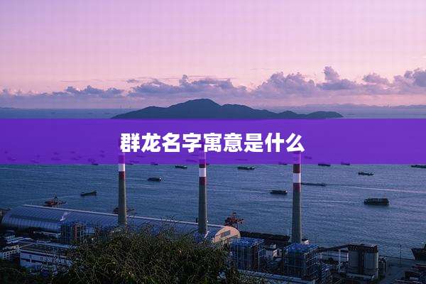 群龙名字寓意是什么