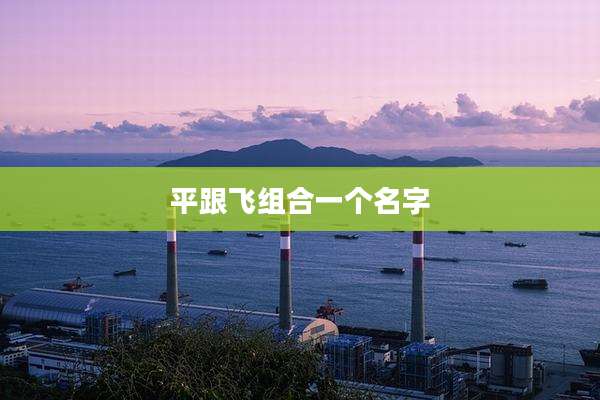 平跟飞组合一个名字