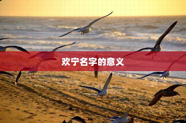 欢宁名字的意义