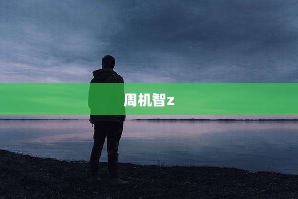 周机智z