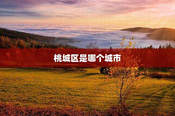 桃城区是哪个城市