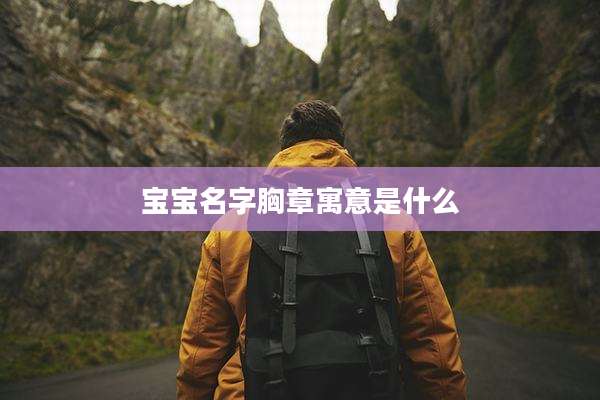 宝宝名字胸章寓意是什么