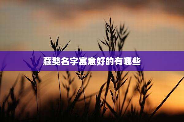 藏獒名字寓意好的有哪些