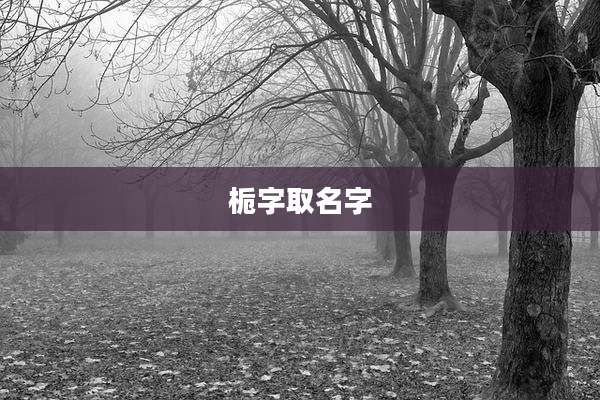 栀字取名字