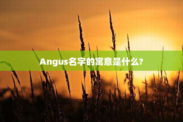 Angus名字的寓意是什么?