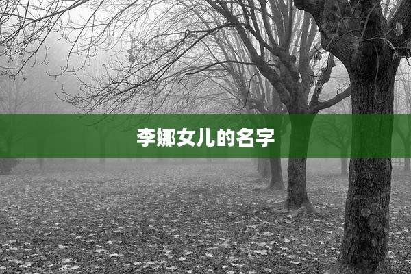 李娜女儿的名字
