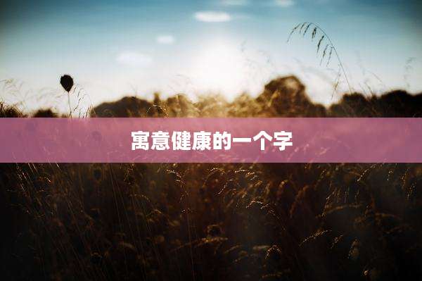 寓意健康的一个字