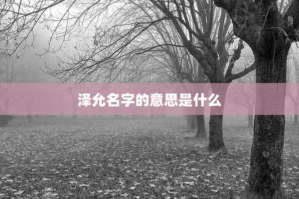 泽允名字的意思是什么