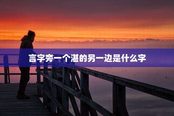 言字旁一个湛的另一边是什么字