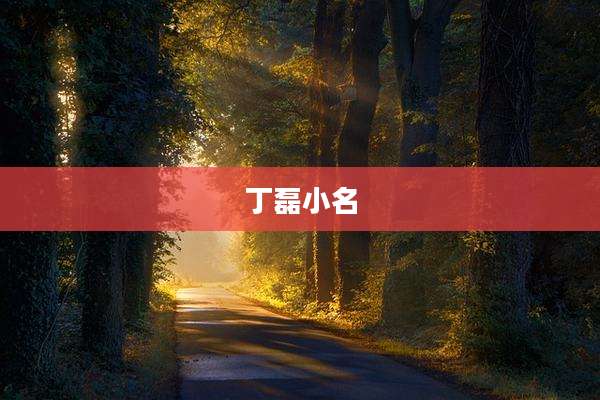 丁磊小名