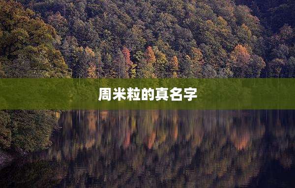 周米粒的真名字