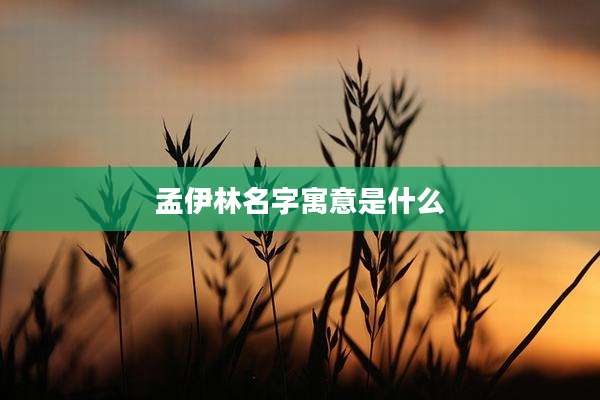 孟伊林名字寓意是什么