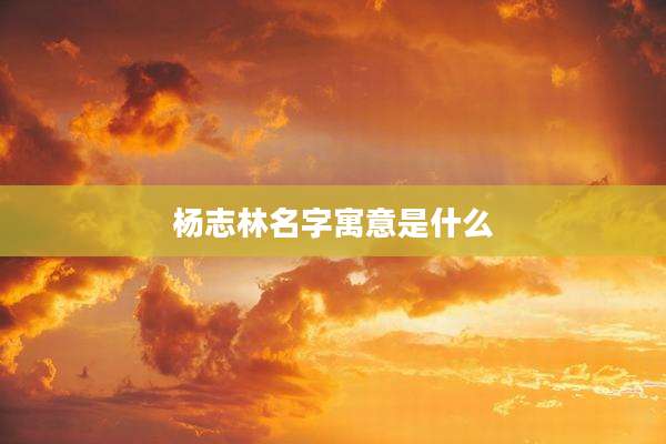 杨志林名字寓意是什么