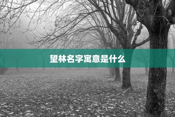 望林名字寓意是什么