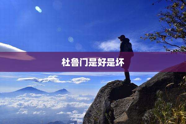 杜鲁门是好是坏