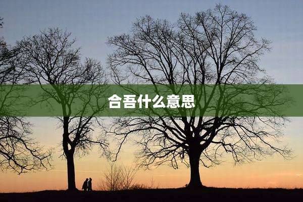 合吾什么意思