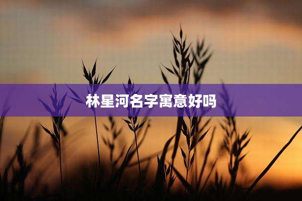 林星河名字寓意好吗