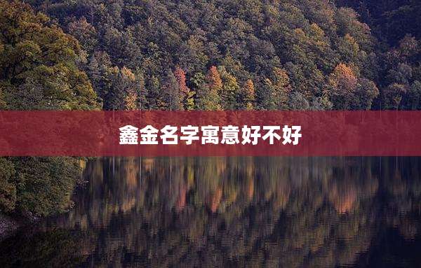 鑫金名字寓意好不好