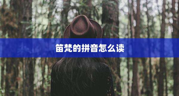 笛梵的拼音怎么读