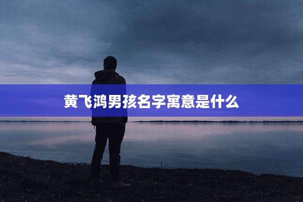 黄飞鸿男孩名字寓意是什么