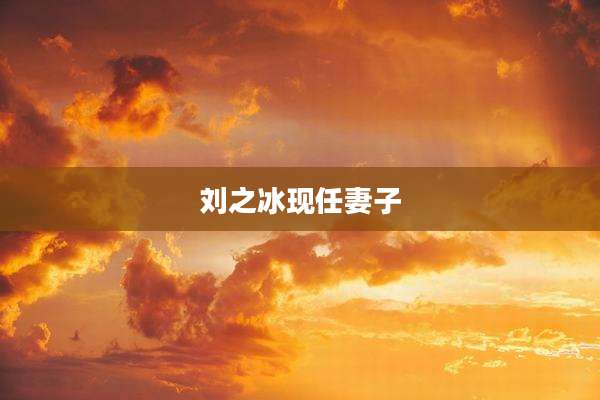 刘之冰现任妻子