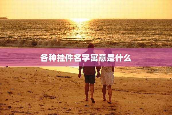 各种挂件名字寓意是什么