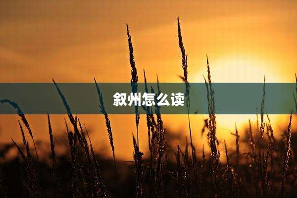 叙州怎么读