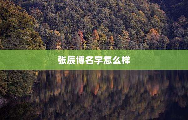 张辰博名字怎么样