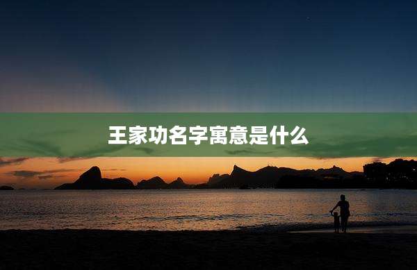 王家功名字寓意是什么
