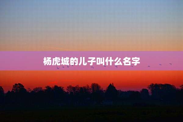 杨虎城的儿子叫什么名字