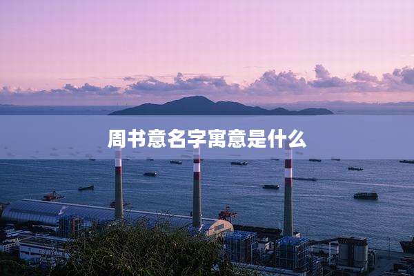 周书意名字寓意是什么