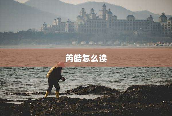 芮皓怎么读