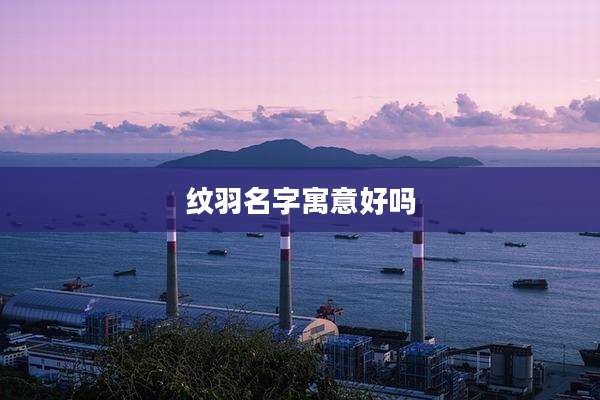 纹羽名字寓意好吗