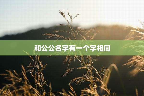 和公公名字有一个字相同