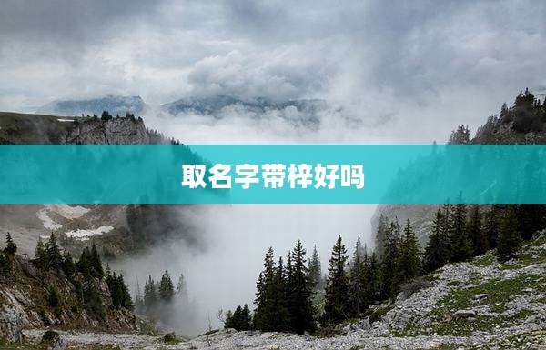 取名字带梓好吗