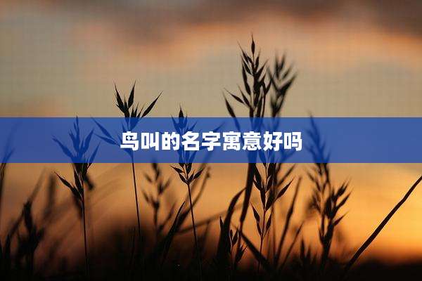 鸟叫的名字寓意好吗