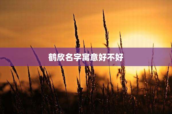 鹤欣名字寓意好不好