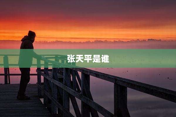 张天平是谁