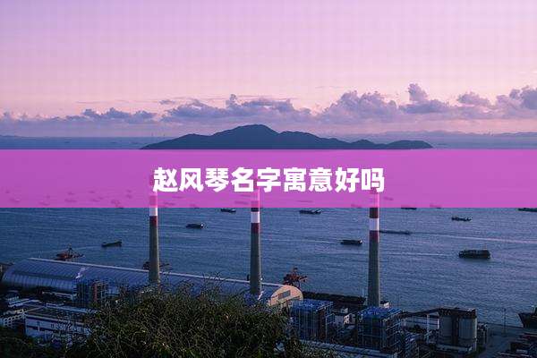 赵风琴名字寓意好吗