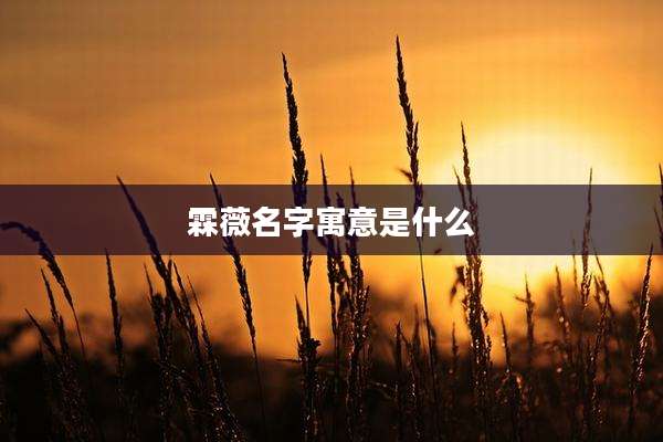 霖薇名字寓意是什么