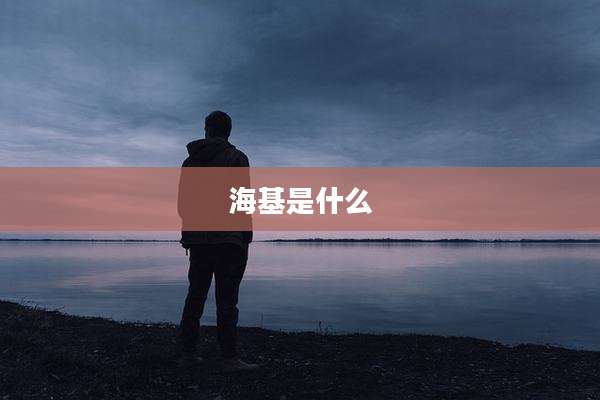 海基是什么