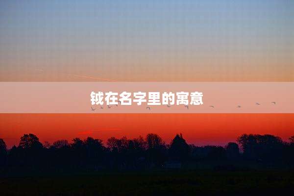 钺在名字里的寓意