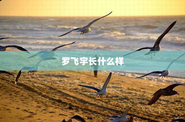 罗飞宇长什么样