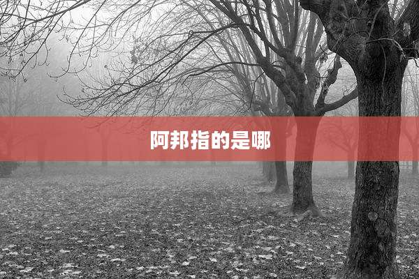 阿邦指的是哪