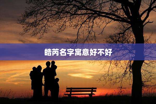 皓芮名字寓意好不好