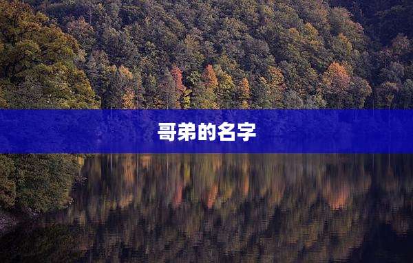 哥弟的名字
