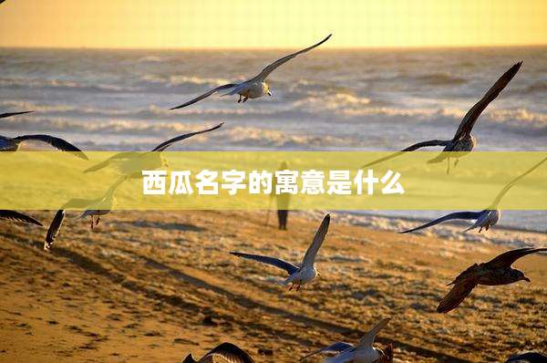 西瓜名字的寓意是什么