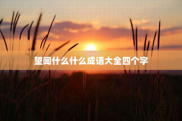 望闻什么什么成语大全四个字