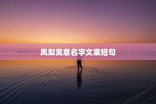 凤梨寓意名字文案短句