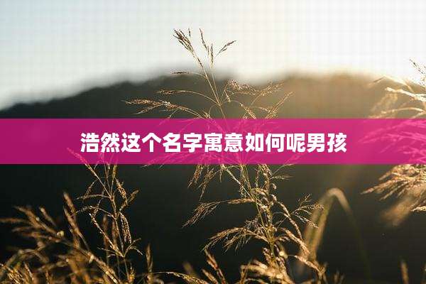 浩然这个名字寓意如何呢男孩